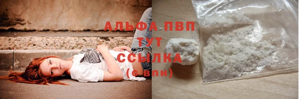 твердый Надым