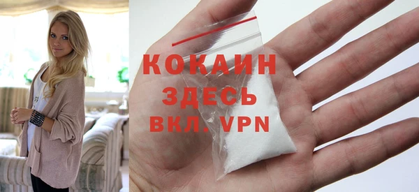 твердый Надым