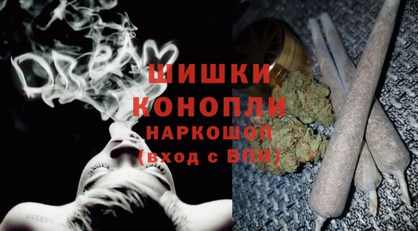 твердый Надым